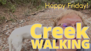 Creek walking